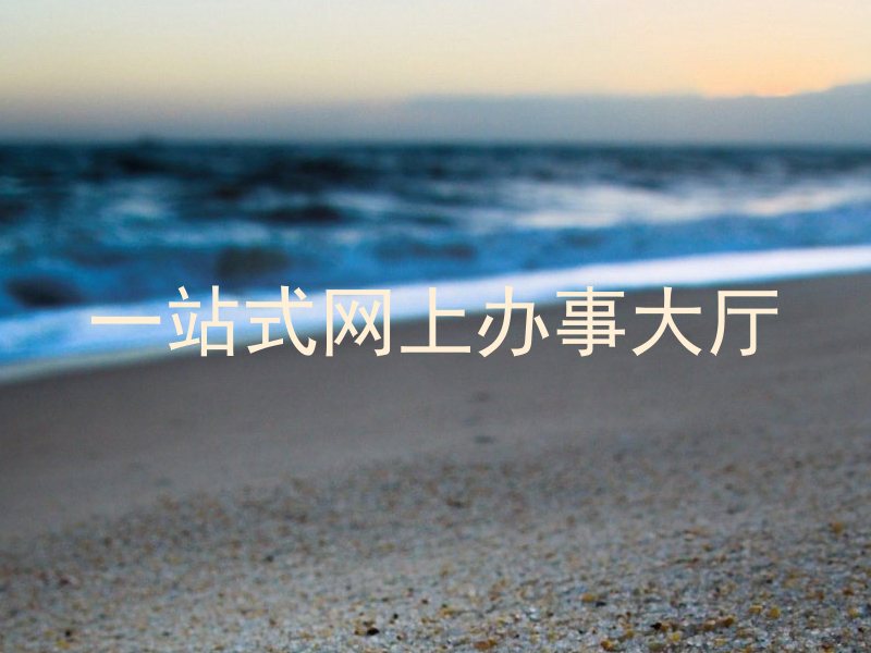 一站式网上办事大厅
