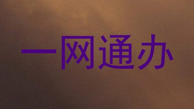 一网通办