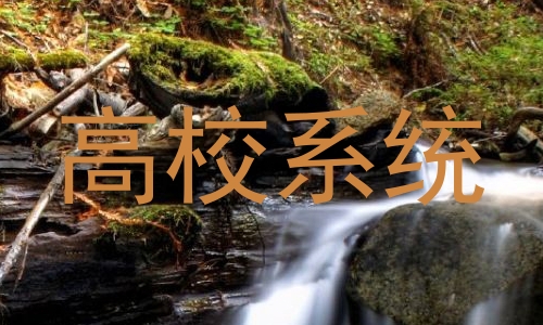 高校系统