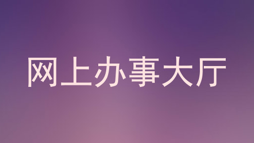 网上办事大厅