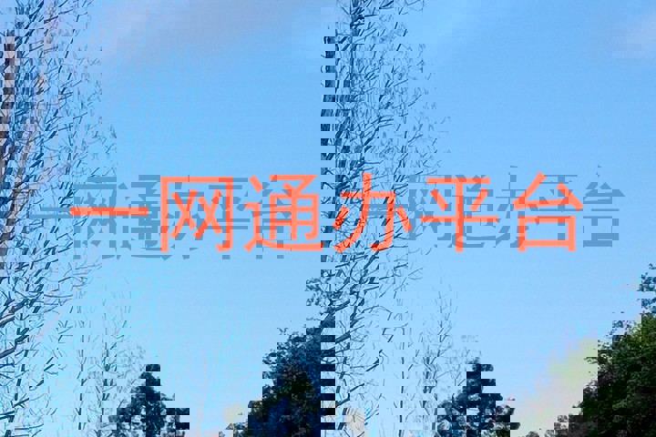 一网通办平台