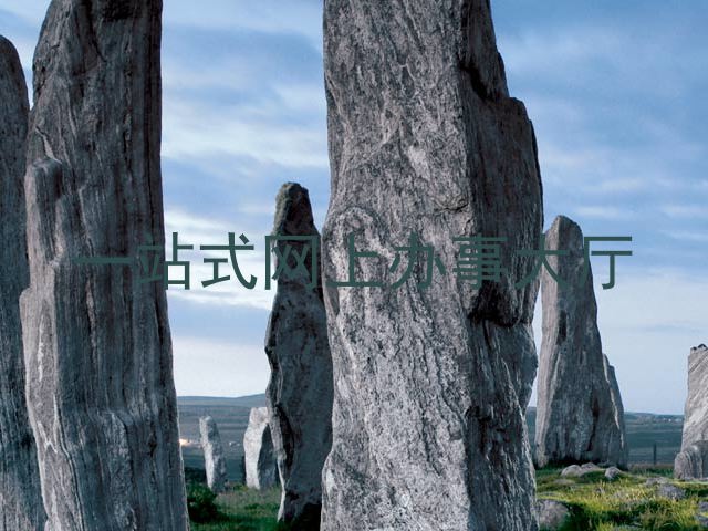 一站式网上办事大厅