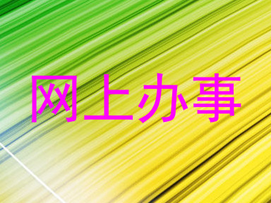 网上办事