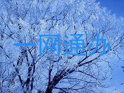 一网通办