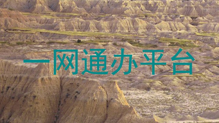 大学一表通