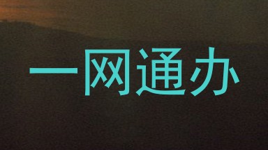 一网通办