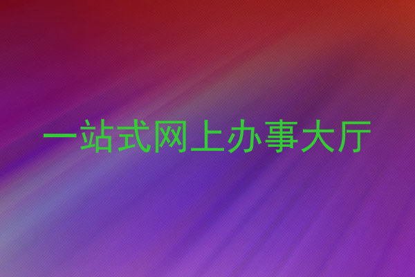 一站式网上办事大厅