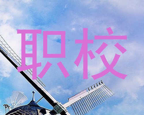 职校