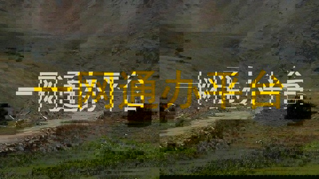 一网通办平台
