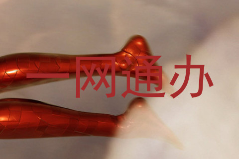 一网通办