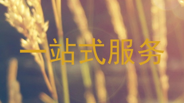 一站式服务