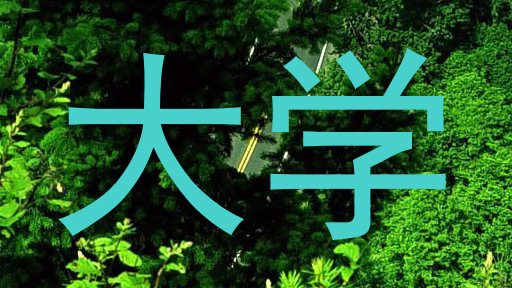 大学