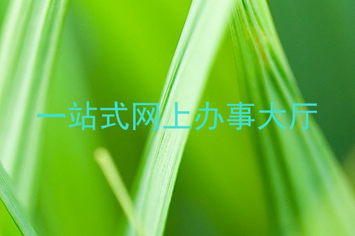 一站式网上办事大厅