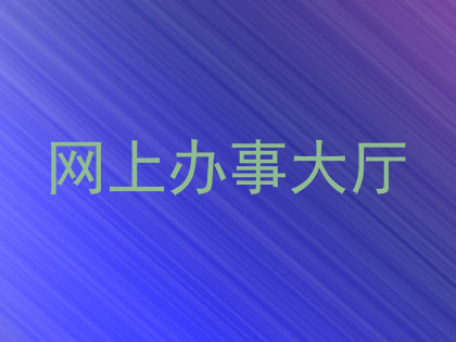 网上办事大厅