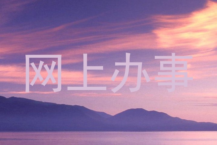 网上办事