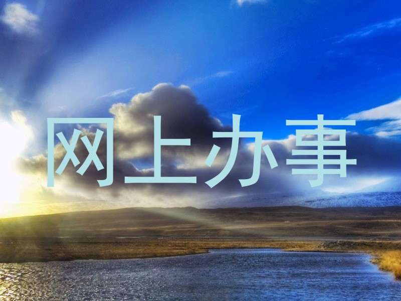 网上办事