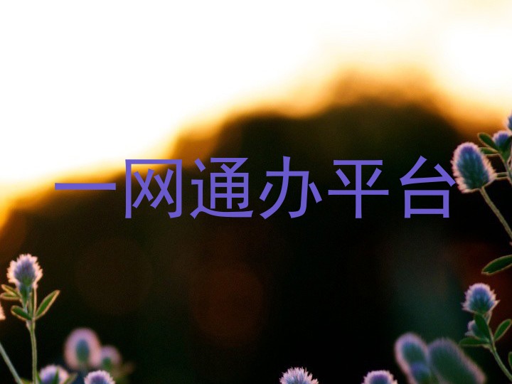 一网通办平台