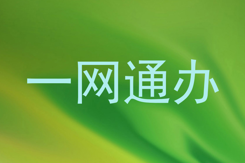 一网通办