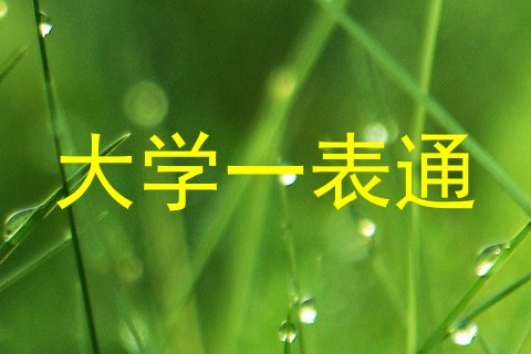 大学一表通