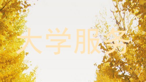 大学服务