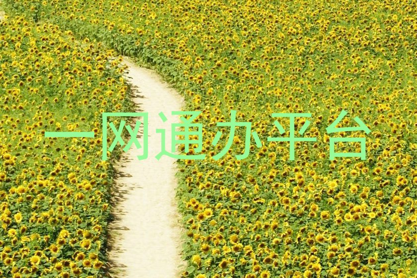 一网通办平台