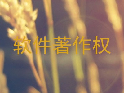 软件著作权