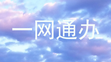 一网通办