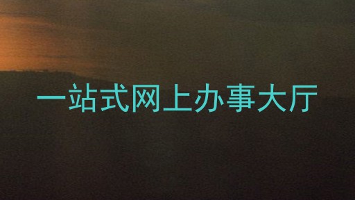 一站式网上办事大厅