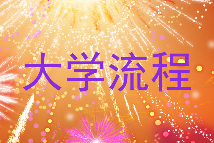 大学流程