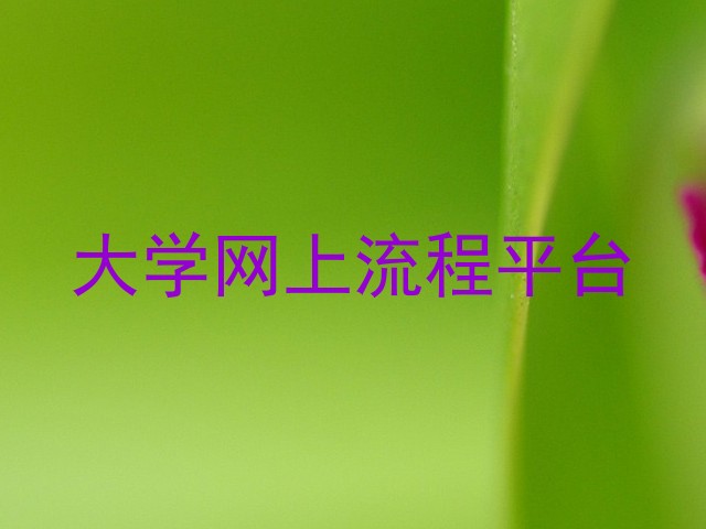 大学网上流程平台