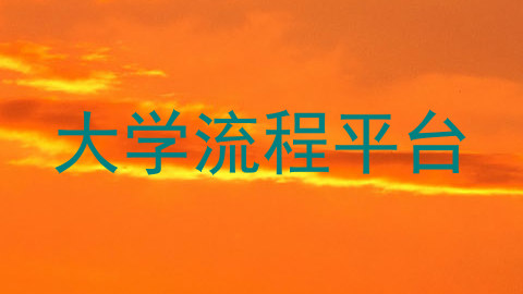 大学流程平台