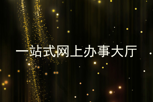一站式网上办事大厅