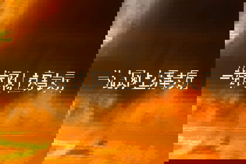 一站式网上办事大厅