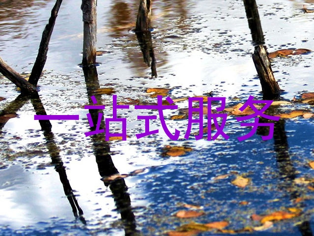 一站式服务