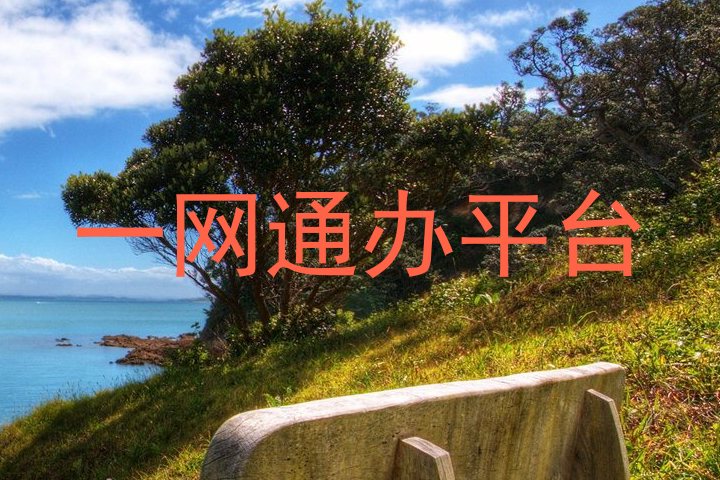一网通办平台