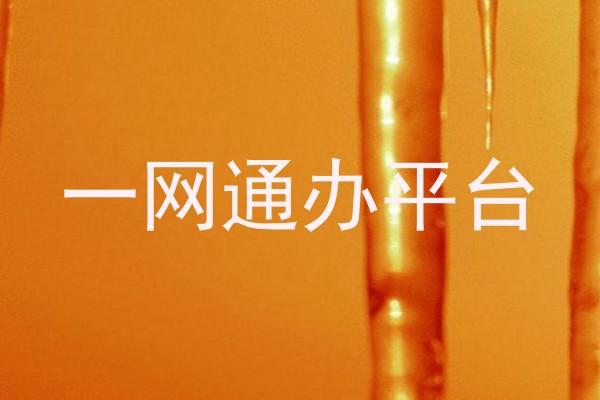 一网通办