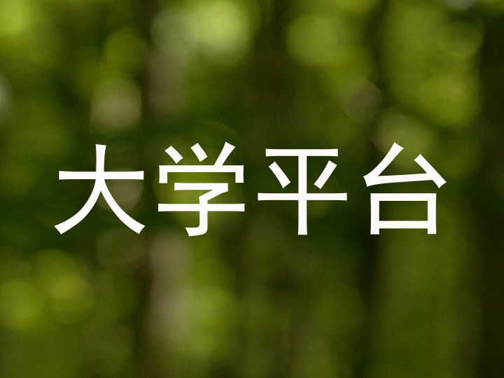 大学平台