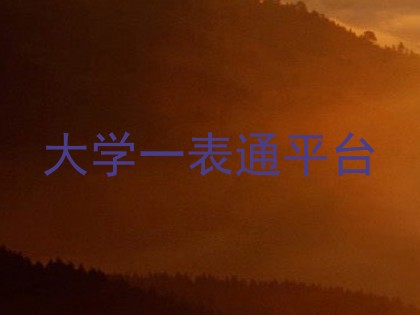大学一表通平台