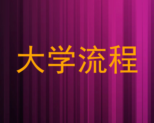 大学流程