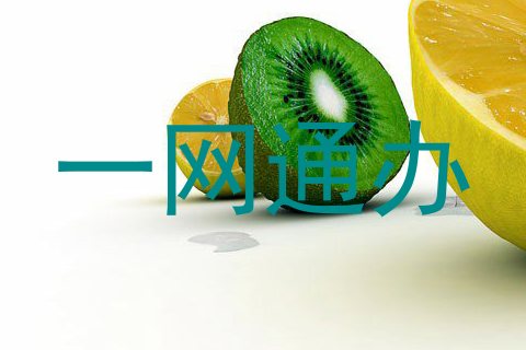 一网通办
