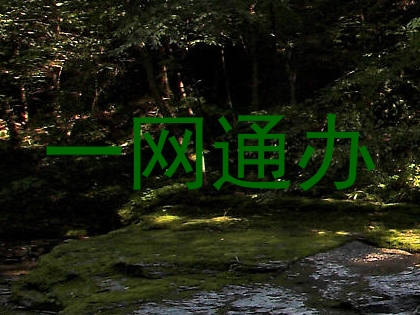 一网通办