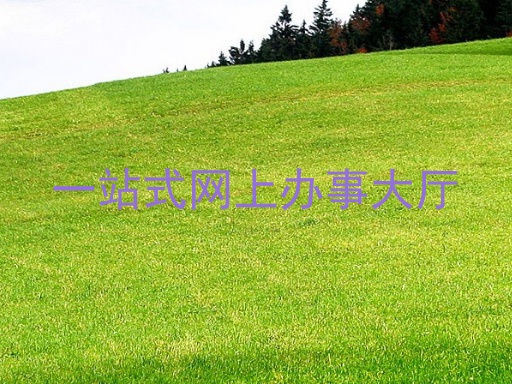 一站式网上办事大厅