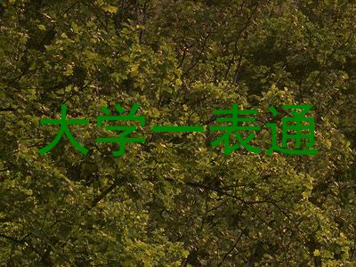 大学一表通