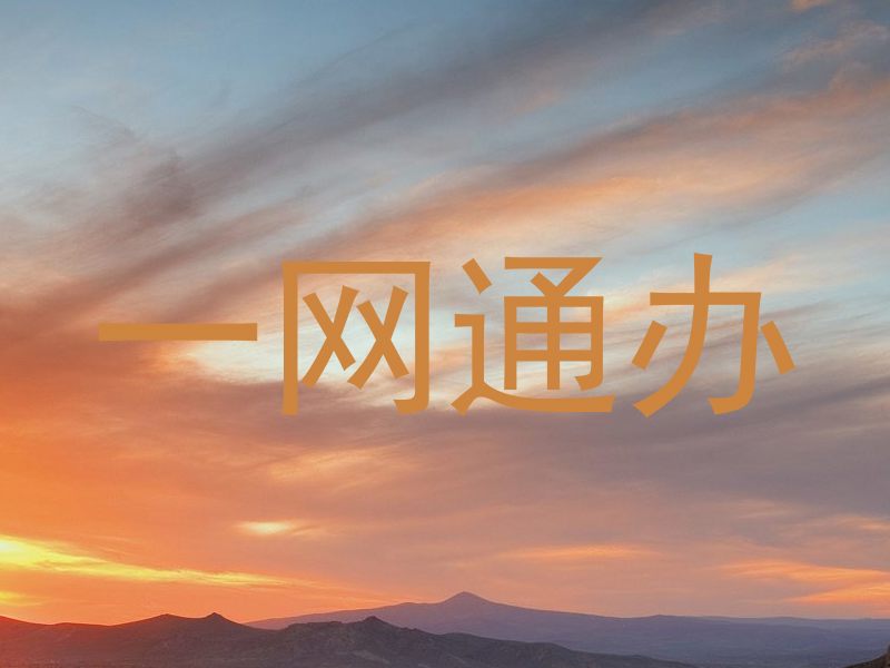 一网通办