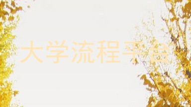 大学流程平台