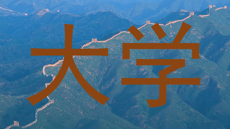 大学