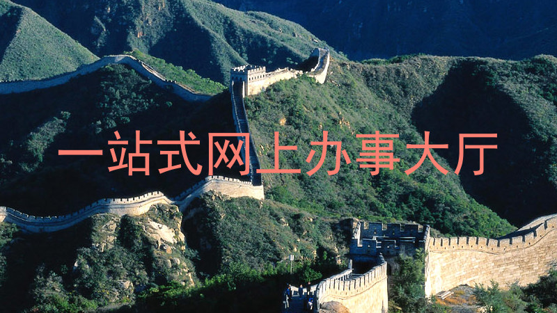 一站式网上办事大厅