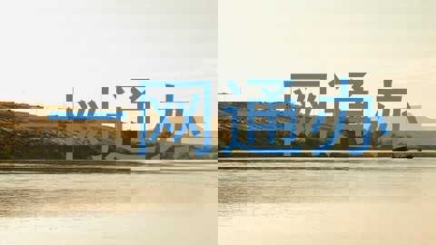 一网通办