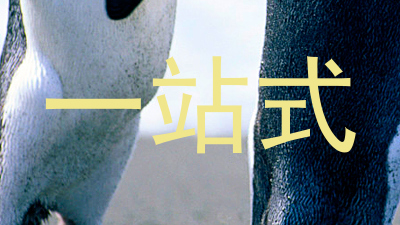 一站式