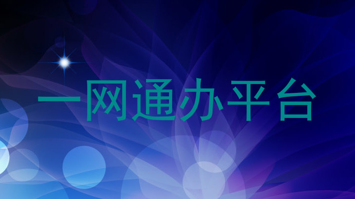 一网通办